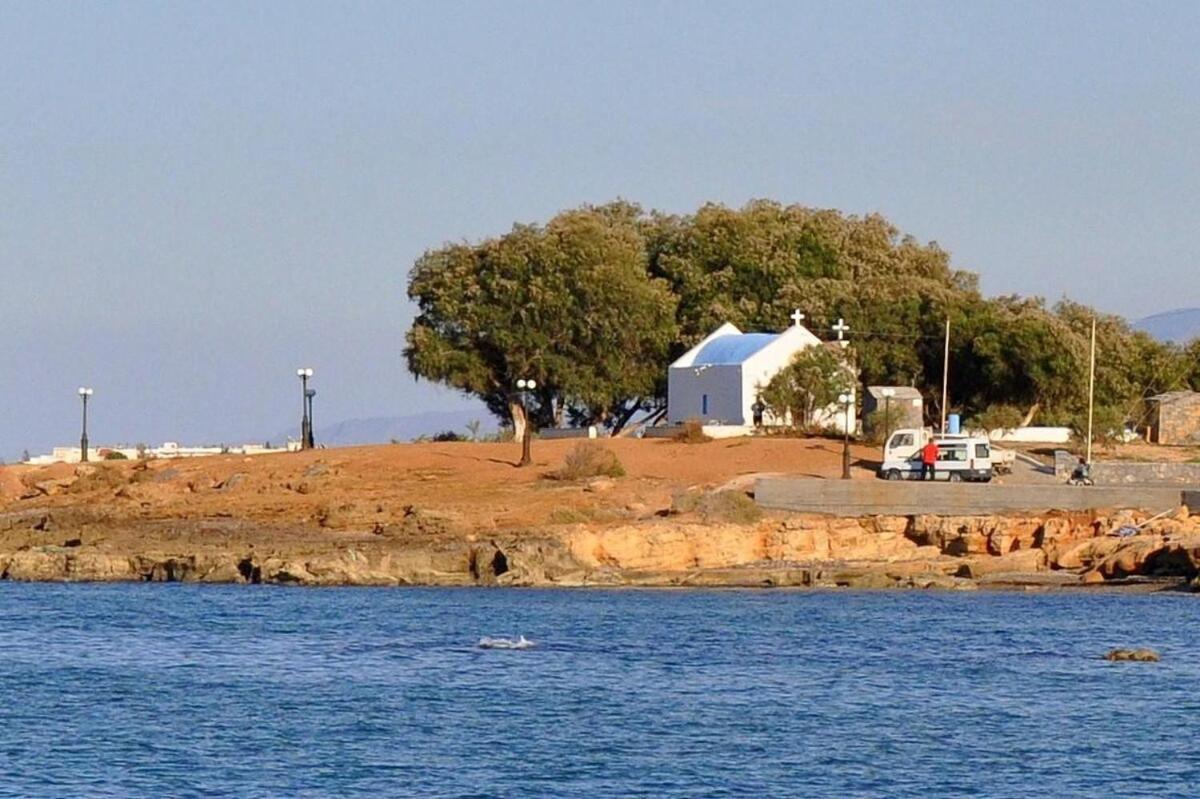 Villa Thalia *